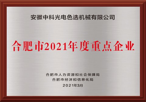 465-合肥市2021年度重點企業