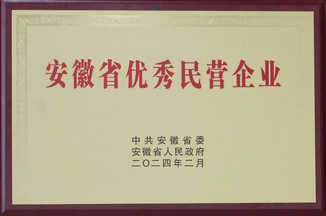 853-安徽省優秀民營企業